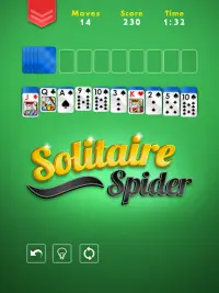Spider Solitaire - Free Classic Casino Card Game Screen Shot 5