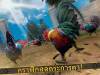 ป่าไก่ตัวผู้วิ่ง - บ้าไก่ฟาร์มแข่งการอยู่รอดเกม Screen Shot 7
