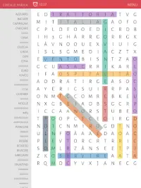 Cerca Le Parola - Word Search Screen Shot 4