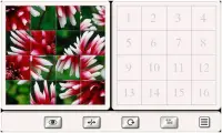 Adivina el Flor: Rompecabezas de Azulejos Screen Shot 3