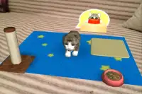 Cute Cat Screen Shot 0