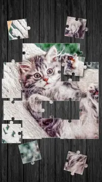 Kucing Lucu Permainan Puzzle Screen Shot 1