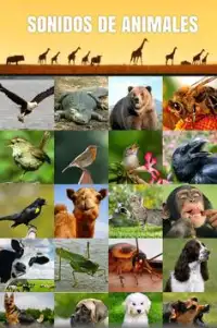 Sonidos de Animales Screen Shot 0