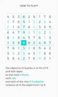 Sudoku Storm Screen Shot 0