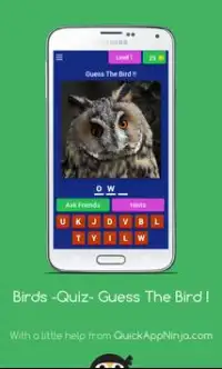 Bird World - Quiz - Guess The Bird ! Screen Shot 1