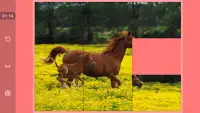 أحجية الصور المقطوعة حصان - العاب حصان للبنات Screen Shot 3