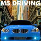 M5 Driving Simulator