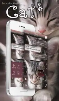 Cats  कीबोर्ड थीम Screen Shot 0