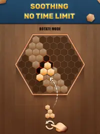 Wooden 100 Block Puzzle - Classic Wood Brain Game Screen Shot 11
