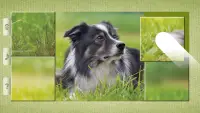 Dog Puzzles - Drag & Swap Screen Shot 3