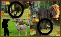 Animal Jungle Hunting Season Screen Shot 11
