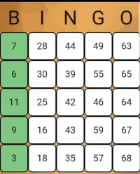 Play Bingo Screen Shot 3