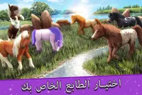 المهر ركوب الخيل لعبة Screen Shot 3