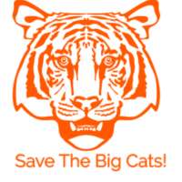 Save The Big Cats!