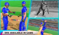 IPL Cricket Game: T20 Cricket Screen Shot 2