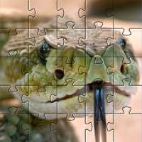 Mga Snake Jigsaw Puzzle 🧩🐍️🧩🐍🧩