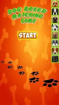 Dog Game For Kids: Match Game Screen Shot 4