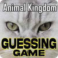 Animal Kingdom Guessing Game