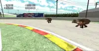 Animal Racing : Bear Screen Shot 1