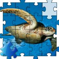 Turtle Jigsaw Puzzle