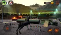 Doberman Dog Simulator Screen Shot 11