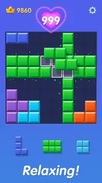 Block Master: Block Puzzle Screen Shot 2