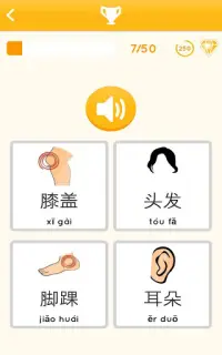Chinesisch Lernen für Anfänger Screen Shot 15