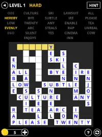 Fill-Ins Word Challenge Screen Shot 6