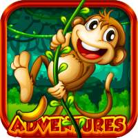 Affenlauf Abenteuer