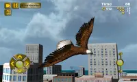 Fast Bird Simulator Rio Screen Shot 1