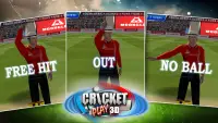 Cricket Giocare 3D Screen Shot 6