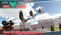 City Sniper Birds Hunting Screen Shot 1