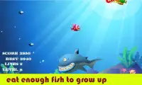 Веселая Hungry Fish Screen Shot 3