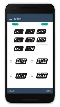 IQ Test Screen Shot 3