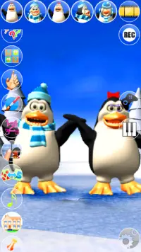 Hablar Pengu y Penga pingüino Screen Shot 2