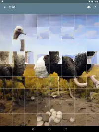 Puzzle: Zwierzęta Screen Shot 15