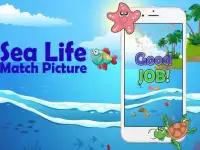 Kids Sea Life Match Picture Screen Shot 7