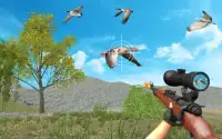 real taloor caçador pássaros Caçando Screen Shot 3