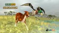 Bird Dog Simulator Screen Shot 0