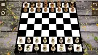 Schach Screen Shot 1