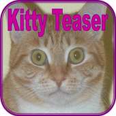 Cat Teaser Cat Sounds & Game