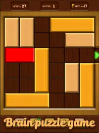 Unblock Red Wood Puzzle 2022 Screen Shot 9