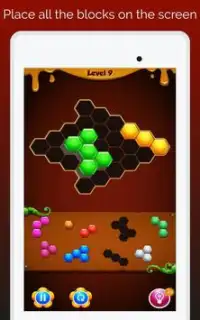 Super Hexagon – Block Hexa Puzzles Screen Shot 8