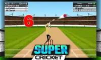 Super Cricket Championship Screen Shot 2