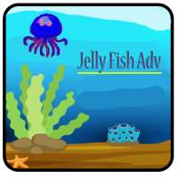 Jelly Fish Adventure