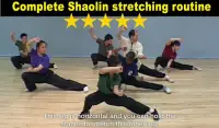 Shaolin Kung Fu Screen Shot 2