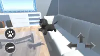 Cat Simulator 🐱 3D Screen Shot 1