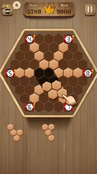 Wooden Hexagon Fit: Hexa Block Puzzle Screen Shot 0