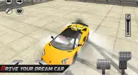 Real Extreme Car Driving Screen Shot 0