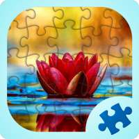 Jeux de puzzles de fleurs